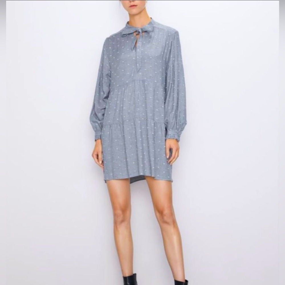 Zara dress